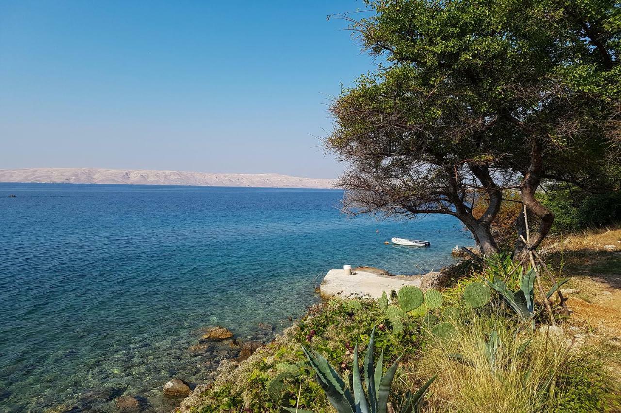 Beachfront House Ivana With Pool - Renovated 2025 Cesarica Exterior photo